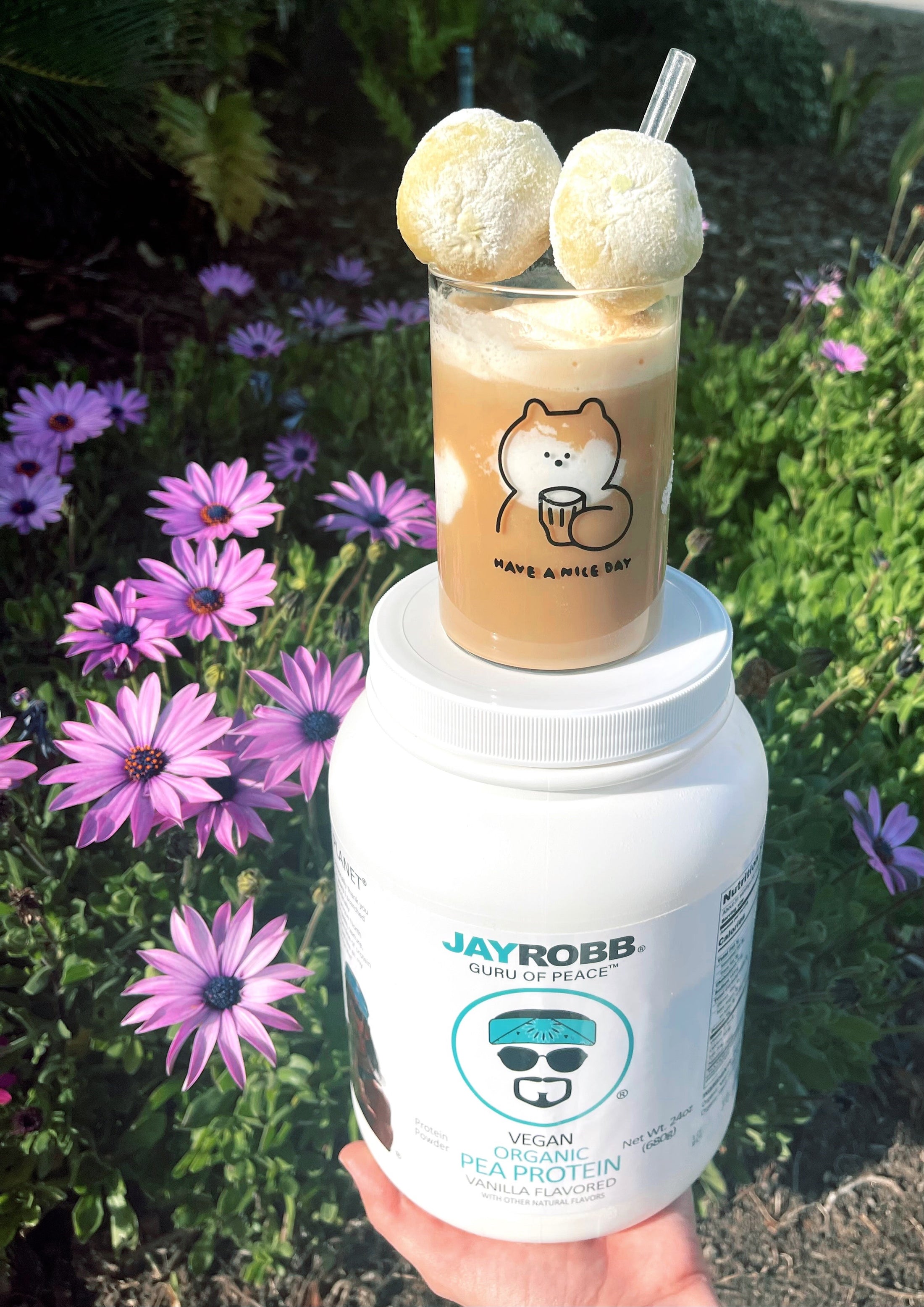 Pea Protein Iced Coffee Jay Robb Protein