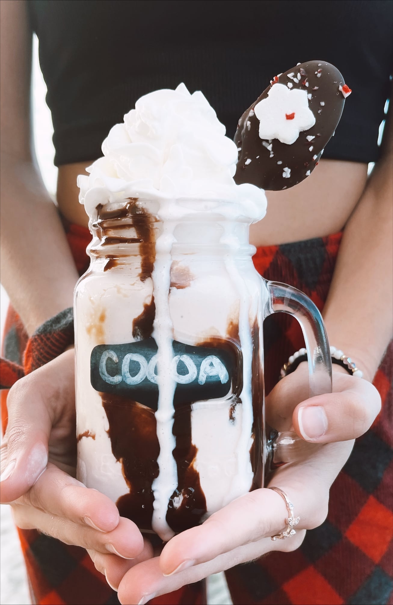 Frozen Peppermint-Cinnamon Cocoa Protein Shake - Jay Robb Protein