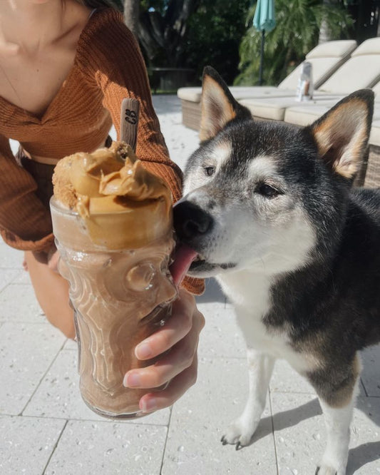 Cinnamon Cookie Protein Shake